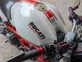 Ducati Monster 600 Blanco - thumbnail 5