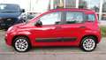 Fiat Panda Automatik*Klima*PDC*I Hand* Rot - thumbnail 4