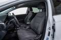Hyundai IONIQ HEV 1.6 GDI Klass Blanco - thumbnail 13