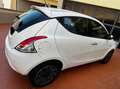 Lancia Ypsilon Ypsilon III 2015 1.2 Gold s Bianco - thumbnail 5