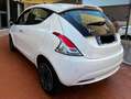 Lancia Ypsilon Ypsilon III 2015 1.2 Gold s Bianco - thumbnail 9