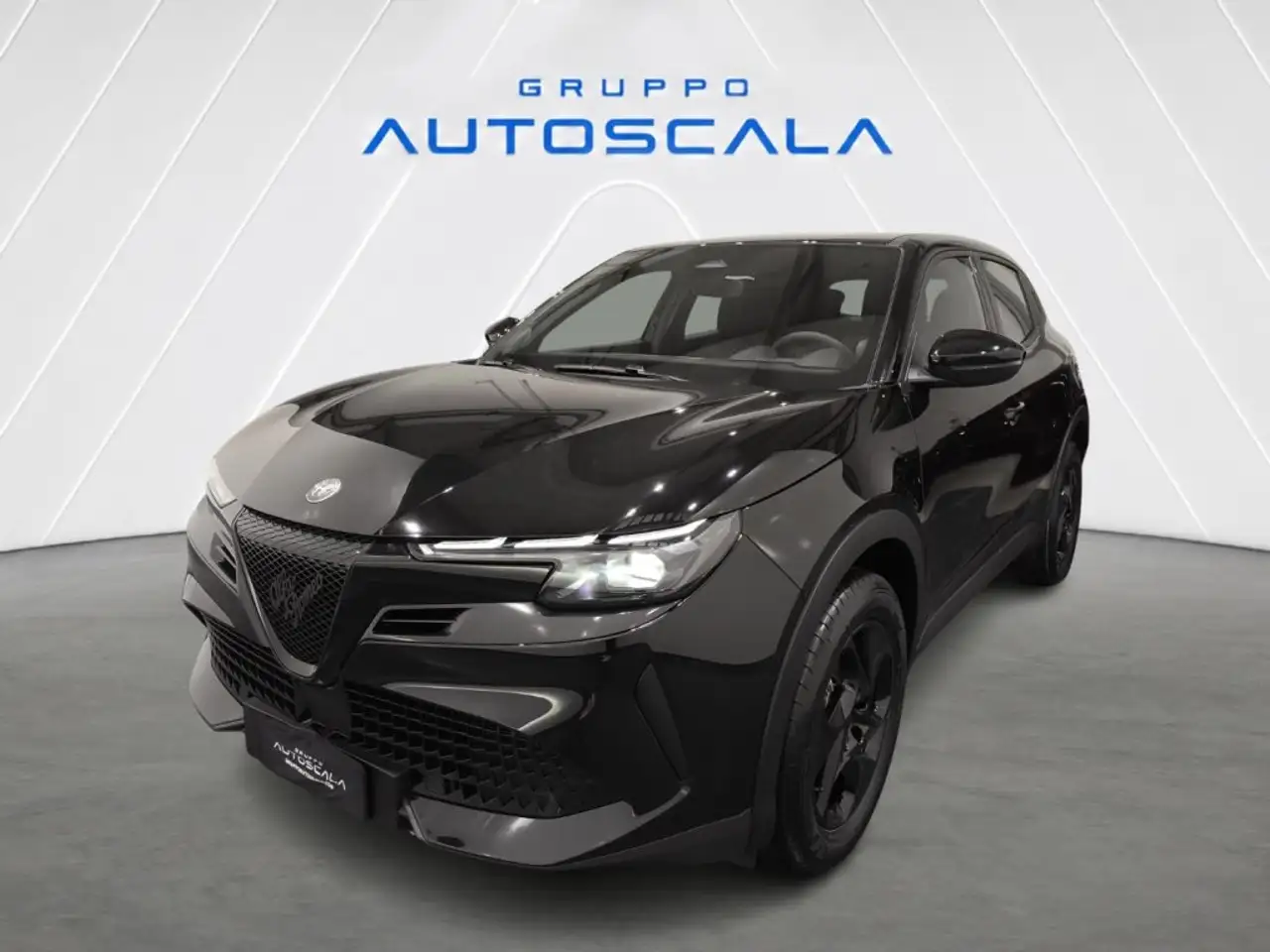 Alfa Romeo Junior