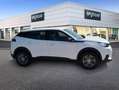 Peugeot 2008 1.2 PureTech S&S Active 100 Blanco - thumbnail 4