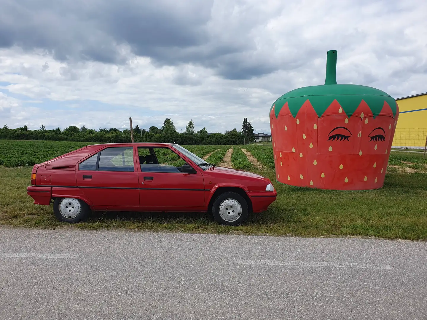 Citroen BX Rot - 2