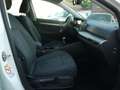 Volkswagen Golf VIII Lim. Life/Sitzheizung/Tempomat Wit - thumbnail 13