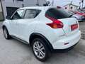 Nissan Juke 1,5 dCi Diesel Weiß - thumbnail 6