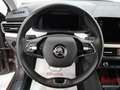 Skoda Kamiq Kamiq 1.0 TSI 110 CV Style Bronze - thumbnail 10