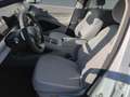 BYD Dolphin G DOLPHIN G DM-i Boost Weiß - thumbnail 6