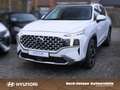 Hyundai SANTA FE 2.2 CRDi PRIME 4WD  KAMERA PDC HUD PANO Weiß - thumbnail 6