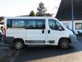 Fiat Ducato Klima 9-Sitzer Blanco - thumbnail 3