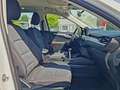 Ford Kuga Cool & Connect Weiß - thumbnail 15