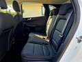 Ford Kuga Cool & Connect Weiß - thumbnail 12