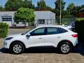 Ford Kuga Cool & Connect Weiß - thumbnail 5