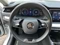 Skoda Octavia Wagon 2.0 tdi evo Executive 115cv Wit - thumbnail 12