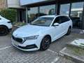 Skoda Octavia Wagon 2.0 tdi evo Executive 115cv Wit - thumbnail 1
