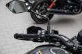 Kawasaki Versys 1000 Tourer, Modell2024, 4 JAHRE GARANTIE Grijs - thumbnail 9