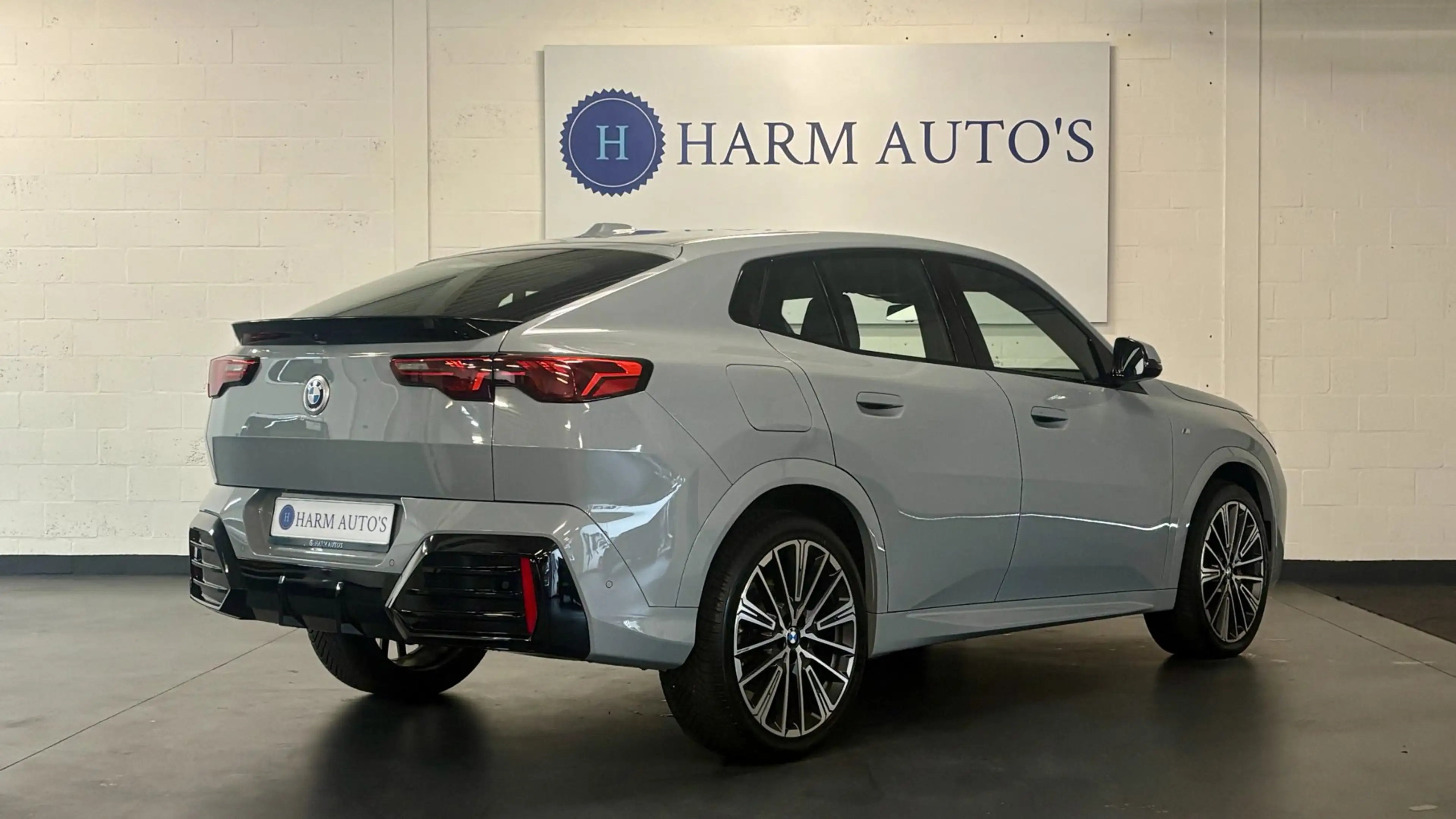 BMW X2 SDrive20i M Sport 170pk Navi / LED / Alcantara / C — photo 6