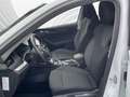 Skoda Octavia Combi Ambition 2.0 TDI 110 kW DSG AHK Bianco - thumbnail 8