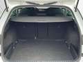 Skoda Octavia Combi Ambition 2.0 TDI 110 kW DSG AHK Bianco - thumbnail 3
