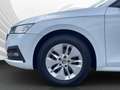 Skoda Octavia Combi Ambition 2.0 TDI 110 kW DSG AHK Blanc - thumbnail 6
