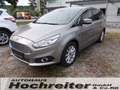 Ford S-Max Titanium, 5-Sitzer Silber - thumbnail 1