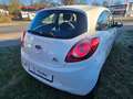 Ford Ka/Ka+ Trend   Allwetterreifen Weiß - thumbnail 2