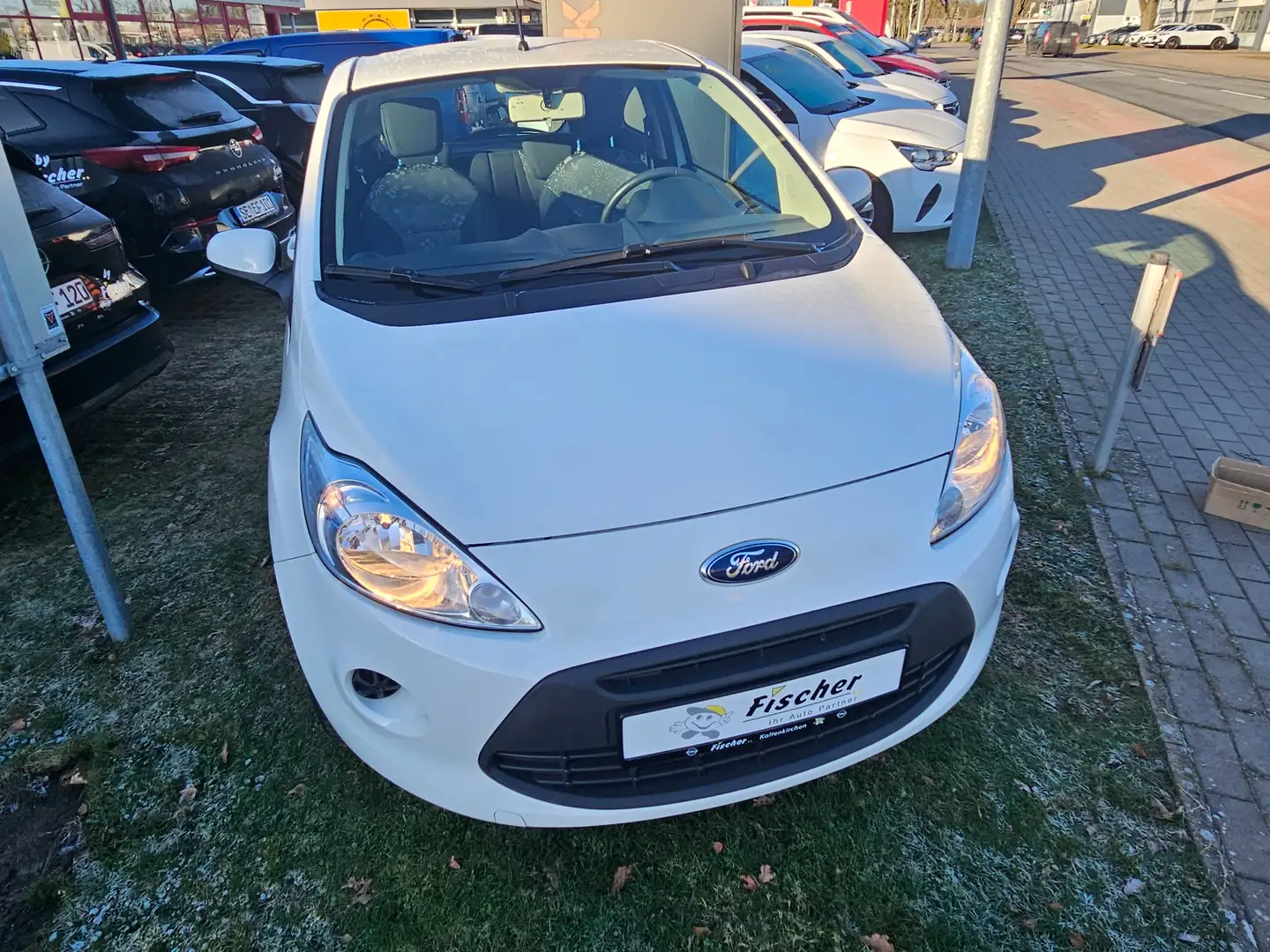 Ford Ka/Ka+ Trend Allwetterreifen Weiß - 1