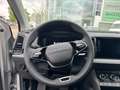 Skoda Karoq 2.0 TDI 4x4 Drive Klima Navi Rückfahrkamera Grau - thumbnail 10