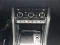 Skoda Karoq 1.5 TSI DSG Tour KAM AHK Navi Bluetooth LED Blau - thumbnail 17