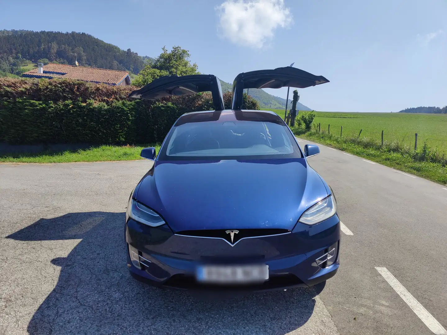 Tesla Model X Model X Performance Ludicrous AWD Azul - 1