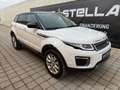Land Rover Range Rover Evoque 2.0 eD4 SE Start/Stopp Weiß - thumbnail 31