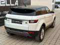Land Rover Range Rover Evoque 2.0 eD4 SE Start/Stopp Weiß - thumbnail 41