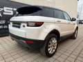 Land Rover Range Rover Evoque 2.0 eD4 SE Start/Stopp Weiß - thumbnail 4
