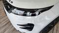 Land Rover Range Rover Evoque Evoque 2.0di4 mhev R-Dynamic SEawd 04cv auto Bianco - thumbnail 8