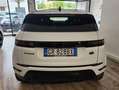Land Rover Range Rover Evoque Evoque 2.0di4 mhev R-Dynamic SEawd 04cv auto Bianco - thumbnail 5