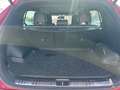 Kia Sportage Sportage Rot - thumbnail 10