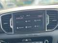 Kia Sportage Sportage Rot - thumbnail 18