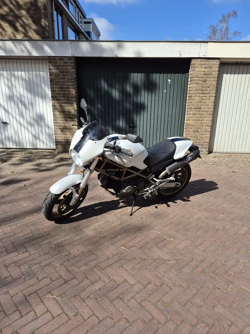 Ducati Monster 600 Blanc - 2