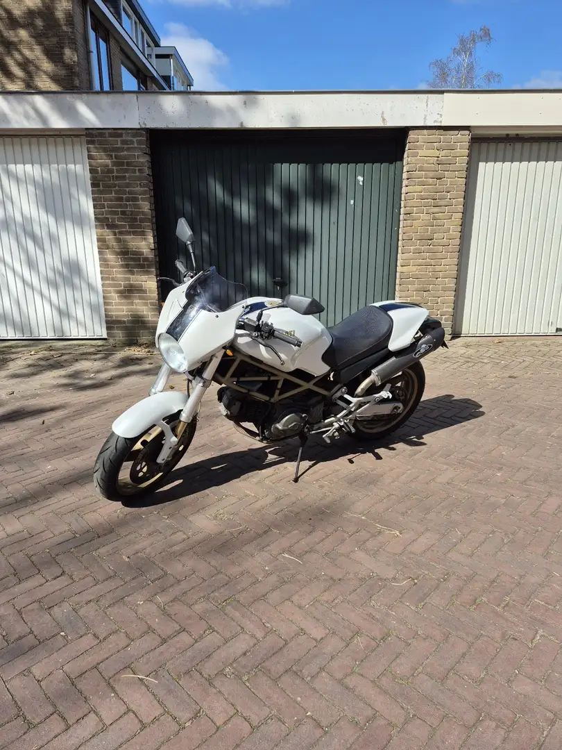 Ducati Monster 600 Blanc - 1