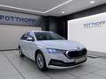 Skoda Octavia Combi 2.0 TDI STYLE NAVI PDC SITZHZG ACC Weiß - thumbnail 6
