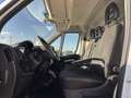 Citroen Jumper CITROEN JUMPER  35 L2H2 2.2 bluehdi 140cv S&S Blanco - thumbnail 7