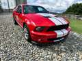Ford Mustang shelby gt500 only 6500 km Rosso - thumbnail 3