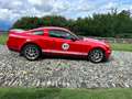 Ford Mustang shelby gt500 only 6500 km Rosso - thumbnail 5