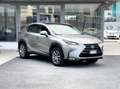 Lexus NX 300 2.5 Hybrid 155CV E6 Automatica - 2017 Argento - thumbnail 1
