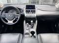 Lexus NX 300 2.5 Hybrid 155CV E6 Automatica - 2017 Argento - thumbnail 6