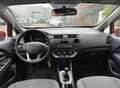 Kia Rio 1.2 CVVT Plus Pack Rot - thumbnail 14