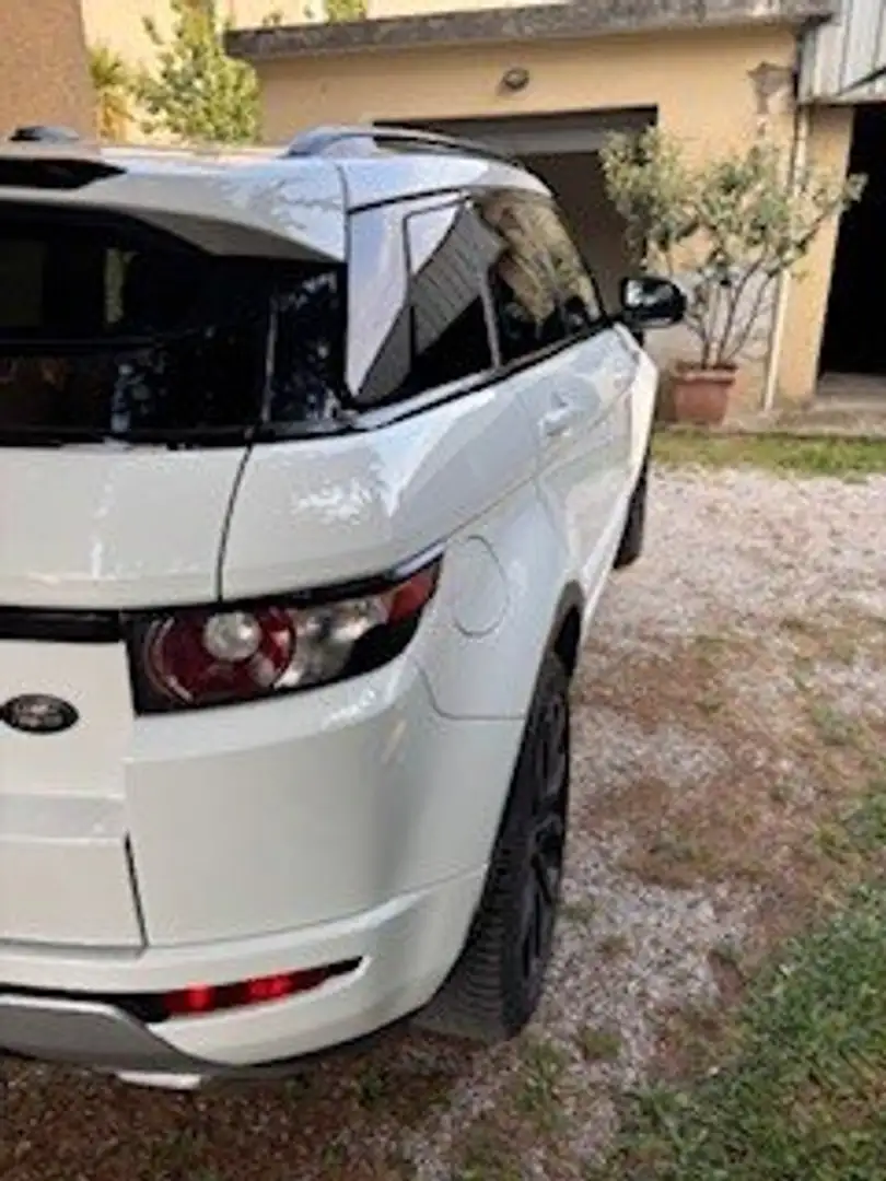 Land Rover Range Rover Evoque Range Rover Evoque I 2011 5p 2.2 td4 Dynamic 150cv Bianco - 2