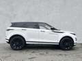 Land Rover Range Rover Evoque D200 Dynamic SE ** Weiß - thumbnail 6