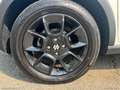 Suzuki Ignis 1.2 Dualjet 4WD All Grip Top Bianco - thumbnail 10