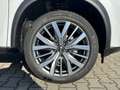 Nissan X-Trail 1.5 VC-T MHEV 163 PS Xtronic 4x2 Tekna+ 5 Sitze 20' Weiß - thumbnail 4